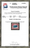 PSE Certificate 1035933